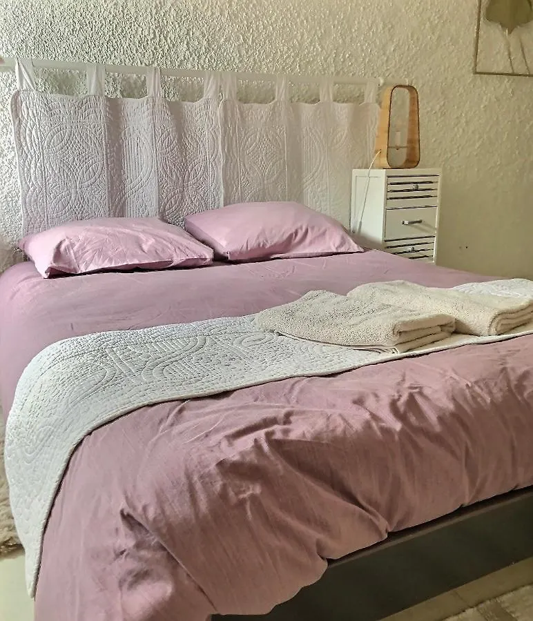 Duplex En Hypercentre Apartment Montauban