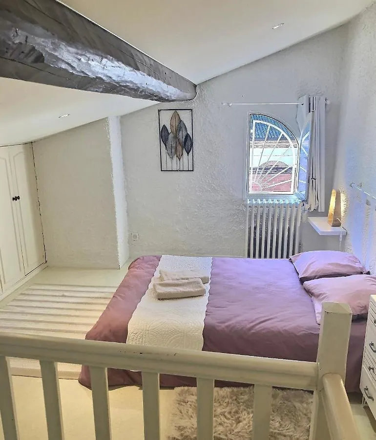 Duplex En Hypercentre Apartment Montauban