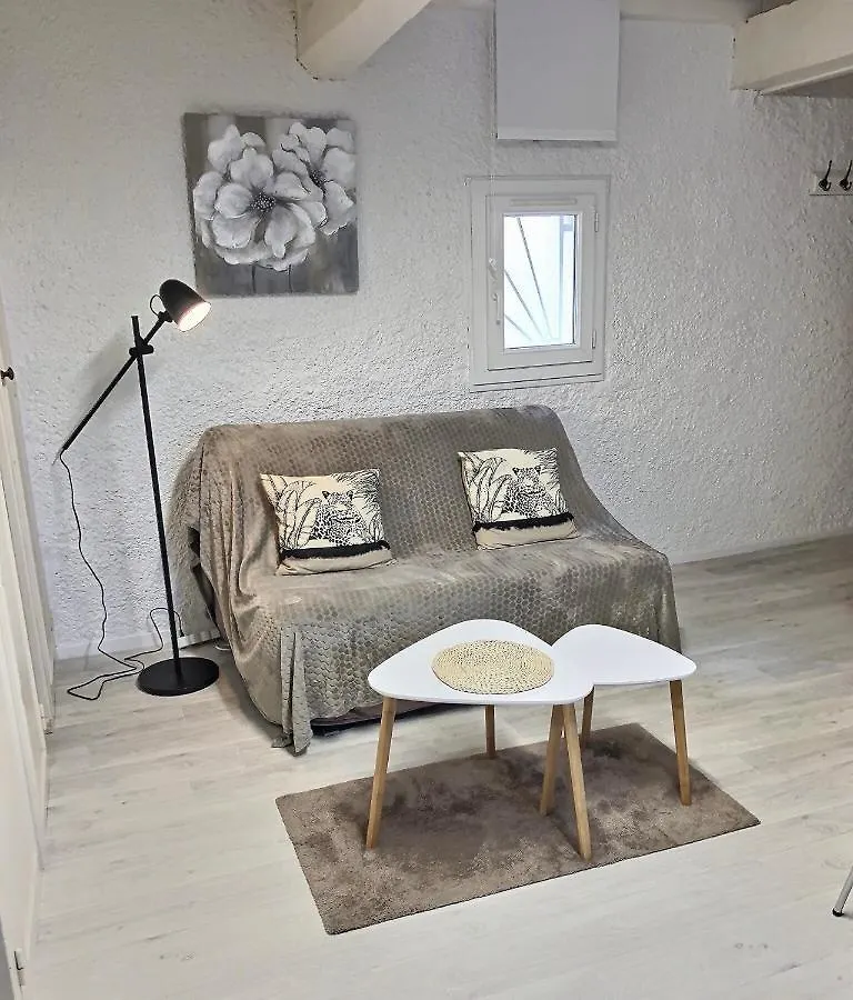 Duplex En Hypercentre Apartment Montauban