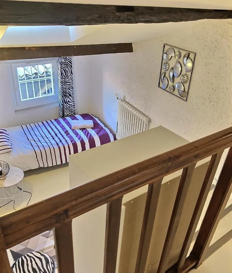 Duplex En Hypercentre Apartment Montauban