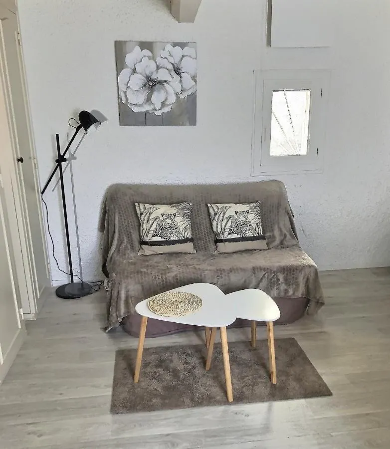 Duplex En Hypercentre Apartment Montauban
